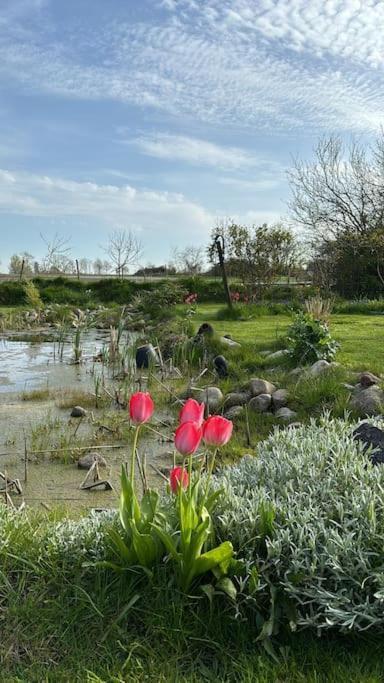 Oesterlen Oasis Spjutstorp Dış mekan fotoğraf